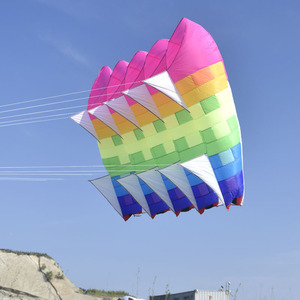 Cerf-volant SoftNavigator KiteEasy <span class=keywords><strong>Flyer</strong></span>, grand cerf-volant pour adultes, cadeau, cerf-volant personnalisé, cerf-volant 3D personnalisé en usine - Product Image 1