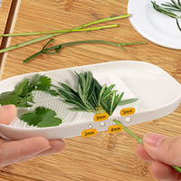 Râpe à ail multifonction 4-en-1 en céramique avec batteur à œufs intégré, râpe à gingembre en porcelaine – Outils de cuisine en gros, vente chaude