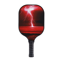 Raqueta de Pickleball de Fibra de Vidrio con Placa de Pluma, Certificada por la USAPA, Núcleo de PP Honeycomb, Set de Fibra de Carbono para Escuela