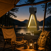 Lampe de travail LED magnétique IP55 rechargeable, lanterne d'urgence 3 couleurs, logo personnalisé, vente en gros d'usine, pliable
