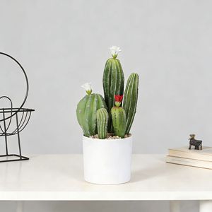 Plante de cactus artificielle en plastique, cactus pour ornement de jardin, <span class=keywords><strong>d</strong></span>écoration de jardin, <span class=keywords><strong>d</strong></span>écoration de maison et de bureau, faux arbres, plantes artificielles - Product Image 4