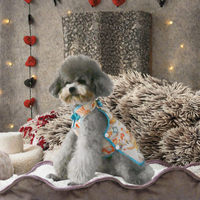 Chemise de récupération post-chirurgicale pour chien en coton personnalisée de luxe, anti-léchage, confortable et durable