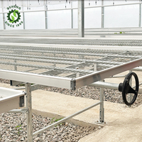 Banc roulant mobile de table de serre intelligente pour semis/élevage utilisé pour le plateau Microgreen dans la serre verte