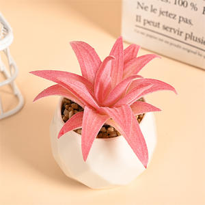 Piante Artificiali in Vaso di Plastica Serie <span class=keywords><strong>Rosa</strong></span>, Bonsai Succulente Artificiali, Decorazione Paesaggistica in Miniatura - Product Image 5