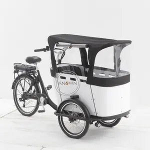 OEM Cargo E Bike Boa Qualidade Carga Elétrica Bicicleta Família 3 Rodas E-Cargo Família E Bicicleta