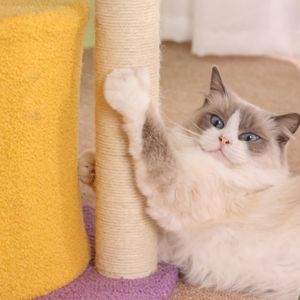 برج تسلق للقطط كبير وفاخر وصديق للبيئة مع منصة خدش وعش مدمج، هيكل تسلق للقطط من السيزال - Product Image 4