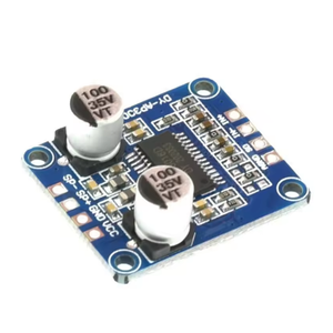 โมดูลเครื่องขยายเสียงดิจิตอลโมโนคลาส D 4-8ohm DC 12V 24V 8V-24V สำหรับ DY-AP3001ลำโพง10W 20W 30W-300W - Product Image 2