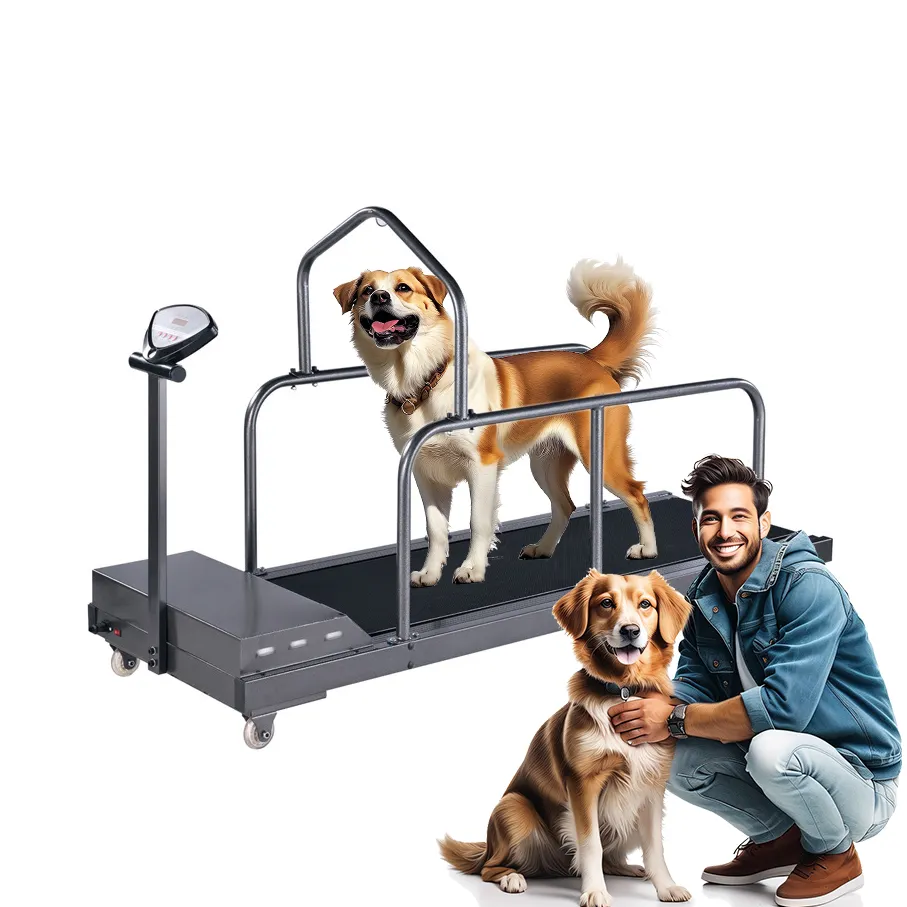 Tapis roulants électriques pour animaux de compagnie pour chiens perdre du poids équipement de sport Animal intérieur marche machine de course
