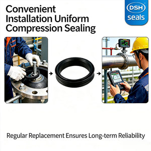 Sellos para equipos de extracción de petróleo OEM - Piezas de caucho NBR/HNBR moldeadas a medida, 10,000 PSI, larga duración, marca <span class=keywords><strong>DSH</strong></span> para herramientas de perforación y superficie - Product Image 1