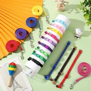 Kingtale Hundehalsband und Leinenset Polypropylen verstellbare Welpenhalsbänder für mittlere Hunde kleine Hunde Haustier Lauftraining - Product Image 4