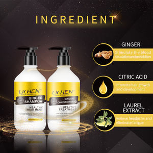 Etiqueta Privada pelo de jengibre champú contra la pérdida del pelo hacer su logotipo GMPC con <span class=keywords><strong>precio</strong></span> al por mayor - Product Image 5