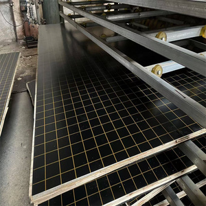 Pannello in compensato fenolico impermeabile con logo speciale e rivestimento in film - Product Image 1