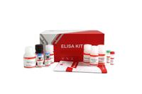 Kit ELISA multi-spécies de la marque JC pour le dépistage de virus porcin, bovin, ovine, caprins, canin, félin, primate, lapin, cochon d'Inde, poulet, canard, oie