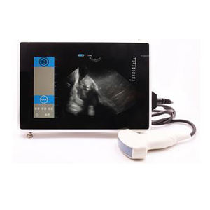 Échographe Doppler Couleur Portable Étanche IPX6 ECI-X7 pour Usage Vétérinaire avec Affichage B/C/PW, Utilisation Facile, Téléchargement sans Fil via WIFI - Product Image 3