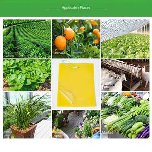 แผ่นกาวดักแมลงสองด้าน สีเหลือง ปลอดสารพิษ สำหรับกำจัดแมลงหวี่ แมลงขาว และแมลงทริปส์ ใช้ได้ทั้งในร่มและในสวนเรือนกระจก - Product Image 3