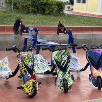 360 Free Drift Scooter électrique enfants Crazy Rider Drift voiture 350W frein à disque Scooter à trois roues voiture de dérive pour enfants
