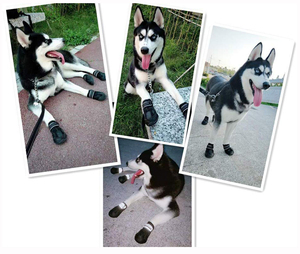 थोक सस्ते आरामदायक सांस व्यक्तिगत कस्टम निविड़ अंधकार आउटडोर पालतू कुत्ते के जूते - Product Image 6