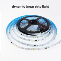 Adressable Pixel RGB Ruban LED 5V 12V 24V Programmable WS2812 WS2812B RGBIC Cintas Tira Étanche Adressable LED Bande Lumineuse