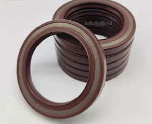 Original <span class=keywords><strong>SIMRIT</strong></span> haute pression BAB2SL joint d'huile squelette haute température BAUSLX2 joint de moteur de pompe à huile joint d'huile en caoutchouc NBR/FKM - Product Image 5