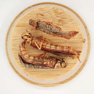 Insectos Secos, Saltamontes Secos, Alimento para Aves y Pollos con Alto Contenido de Proteínas y Nutrientes - Product Image 4