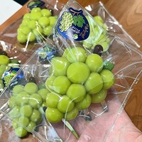 Jouet Squishy en Silicone de Qualité Alimentaire en Forme de Raisin Vert, Fruit Réaliste Anti-Stress pour l'Anxiété et la Relaxation, Unisexe, à partir de 14 ans