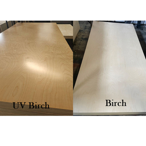 Madera contrachapada de abedul 12mm 17mm 18mm 25mm película enfrentada <span class=keywords><strong>precio</strong></span> ruso preacabado 3mm hoja de madera contrachapada de abedul báltico 3/4 - Product Image 2
