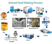 Máquina automática de alimentación de aves de corral, dispositivo pequeño de diseño de alta calidad
