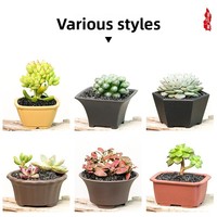 Cetakan Pot Sukulen Resin Mini untuk Sukulen & Bonsai Desain Sederhana dengan Banyak Lubang Drainase - Penjualan Langsung Pabrik