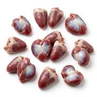 Cœurs de poulet congelés Halal IQF en gros, en vrac, pour l'exportation, produits carnés nettoyés, fournisseur de viande de poulet de chair