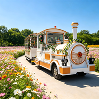 Offre Spéciale : Train à Effet de Vapeur sans Rails pour Grand Tourisme en Zone Scénique
