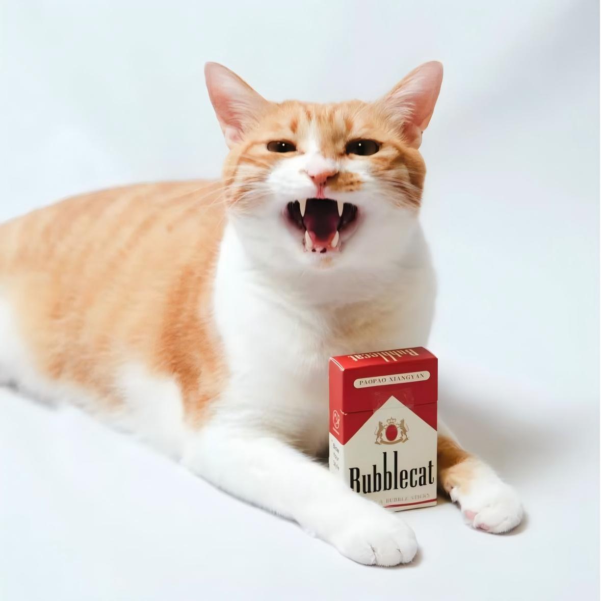 bubble cat cigarette blowing cigarettes  Pameza Pop one in Bolha De Bolso De Brinquedo