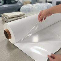 Film thermofusible TPU OEM sur mesure pour applications médicales, électroménager, électronique automobile, sous-vêtements sans couture et vessies, épaisseur de 0,1 à 0,8 mm