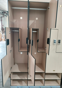 12Mm Nhỏ Gọn Laminate Nhân Viên Phòng Thay Đồ <span class=keywords><strong>Locker</strong></span> Với Khóa Điện Tử Hpl Woodgrain Thiết Kế Cho Văn Phòng Đồng Xu Tủ Khóa - Product Image 2