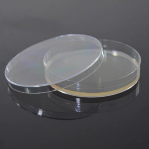 Boîtes de Pétri jetables en plastique et en verre, tailles 90 mm/70 mm/60 mm/35 mm, pour utilisation en laboratoire - Product Image 1