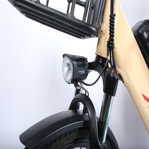 <span class=keywords><strong>2023</strong></span> Le plus récent vélo <span class=keywords><strong>cargo</strong></span> électrique Offre Spéciale 48V 350W Mid drive avec deux sièges - Product Image 3