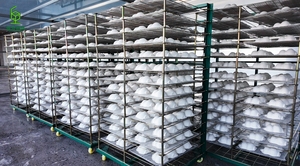 Biểu Tượng Tùy Chỉnh Thân Thiện Với Môi Phân Hủy Sinh Học Bột Giấy Hộp Rãnh Mỹ Phẩm Kit Bao Bì Nổi Chăm Sóc Da Tái Chế Bột Giấy Hộp - Product Image 5