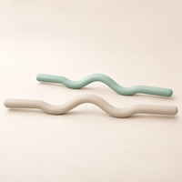 Barre ondulée lestée en silicone avec noyau en fonte de 15 lb et 25 lb, barre incurvée pour la musculation à domicile, le Pilates et l'entraînement de force