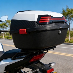 Vendita Diretta Bauletti Posteriori per <span class=keywords><strong>Moto</strong></span> da 21L con Piastre di Fissaggio Laterali Certificato CCC - Product Image 4