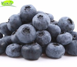 BRC HACCP Distribuer en gros des bleuets frais IQF surgelés en vrac - Product Image 5