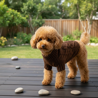 Pull en laine marron écologique moderne pour animaux de compagnie, chien et chat, vêtements d'hiver