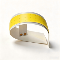 Source de lumière FPC flexible à 360 degrés, puce LED COB 3V 3W 5000K 6750K, forme personnalisée, avec base en aluminium et acier pour lampe torche