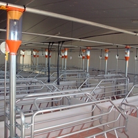 Cage de mise bas pour porcs européenne, enclos d'élevage avec mangeoire humide et sèche pour porcs et buse d'abreuvement pour porcs