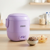 Mini-cuiseur à riz électrique portable JRC-30 120W 0.3L avec cuve antiadhésive carrée en alliage d'aluminium et spatule doseuse en plastique pour usage domestique
