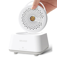 Déshumidificateur physique mini portable rechargeable écologique à prix de gros pour le marché américain et les voitures - Fournisseur