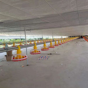 Tamaño personalizado 5-6 <span class=keywords><strong>Parrilla</strong></span> PP Plástico Pollo <span class=keywords><strong>Gallo</strong></span> Alimentador Pan Equipo de aves de corral para comederos de animales - Product Image 2