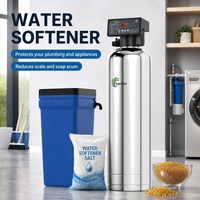 Sistem Pelunak Air Berbasis Garam Resin Penukar Ion Otomatis Aliran Tinggi 3000L/H untuk Seluruh Rumah dari Baja Anti Karat untuk Mengatasi Kekerasan Air di Rumah