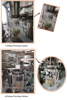 Machine d'emballage automatique pour sachets de lessive en dosettes hydrosolubles / dosettes de lessive
