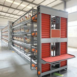 Jaula para Pollos de Alta Eficiencia y Resistencia, Sistema de Gallinero, Sistema de Alojamiento Avícola, Incubadora - Product Image 1