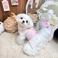 Vêtements pour animaux de compagnie, chien, chat, princesse, laine, automne et hiver, veste mignonne en velours de vison, veste chaude en fausse fourrure, pull pour petit et moyen chien