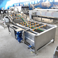 Commerciële Industriële Fruitwasmachine Blad Groente Bubbel Wassen Gingembre Machine Voor Fruit Met Transportmachine